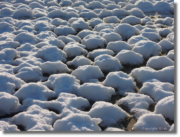sneeuwkadetten 28 december 2014 Bennekom
